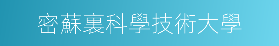 密蘇裏科學技術大學的同義詞