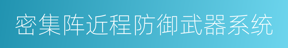 密集阵近程防御武器系统的同义词