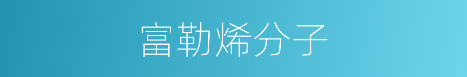 富勒烯分子的同义词