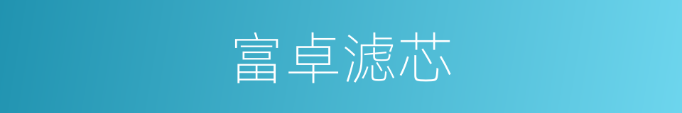 富卓滤芯的同义词