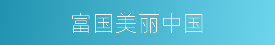 富国美丽中国的同义词