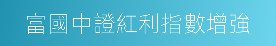 富國中證紅利指數增強的同義詞