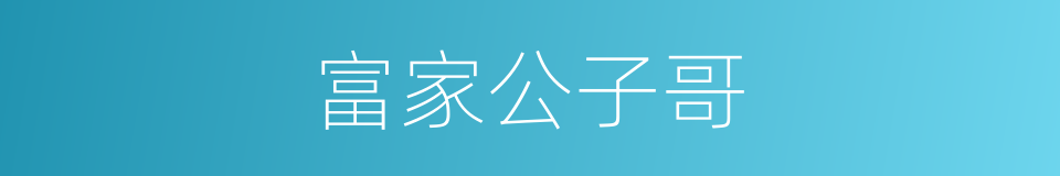 富家公子哥的同义词