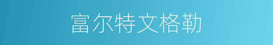 富尔特文格勒的同义词