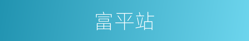 富平站的同义词