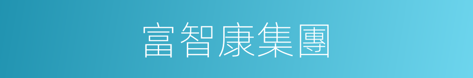 富智康集團的同義詞