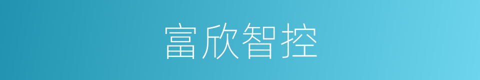 富欣智控的同义词