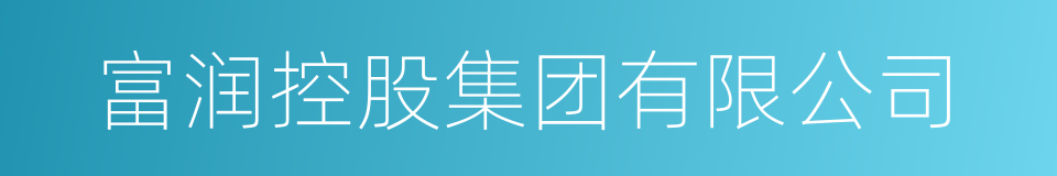 富润控股集团有限公司的同义词