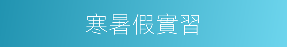 寒暑假實習的同義詞