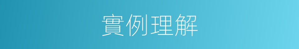 實例理解的同義詞