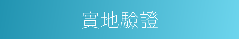 實地驗證的同義詞