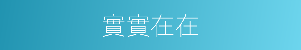 實實在在的意思