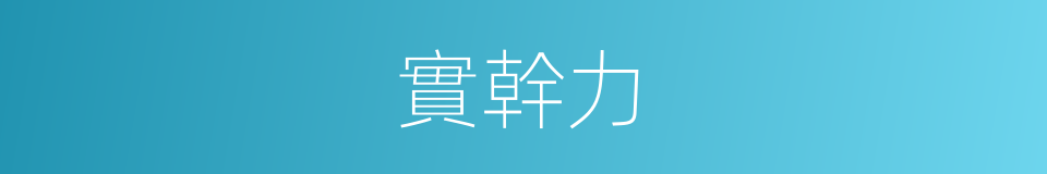 實幹力的同義詞