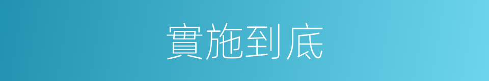 實施到底的意思