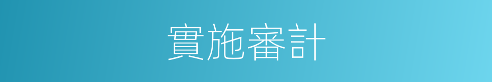 實施審計的同義詞