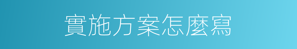 實施方案怎麼寫的同義詞