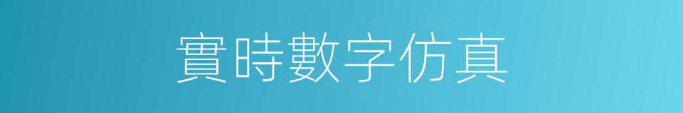實時數字仿真的同義詞