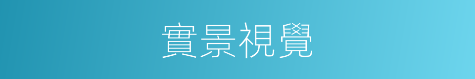 實景視覺的同義詞