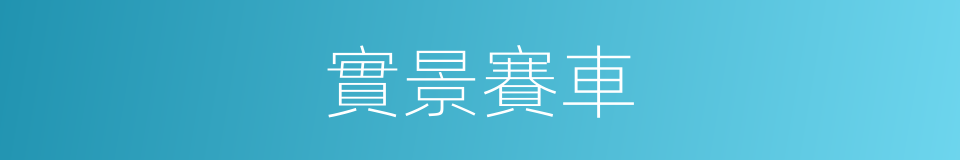 實景賽車的同義詞