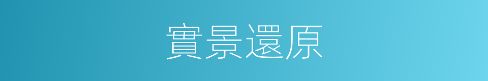 實景還原的同義詞