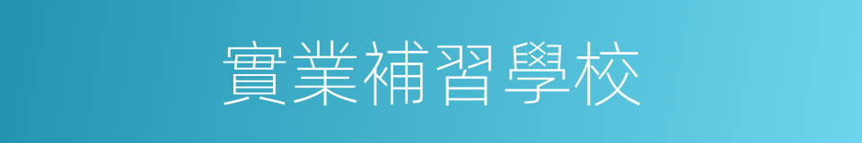 實業補習學校的同義詞