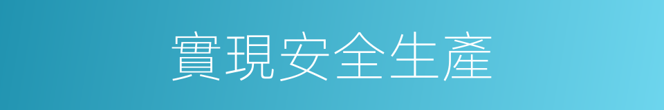 實現安全生產的同義詞