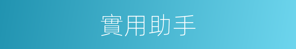 實用助手的同義詞