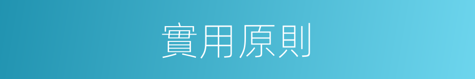 實用原則的同義詞