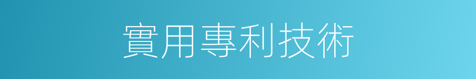 實用專利技術的同義詞