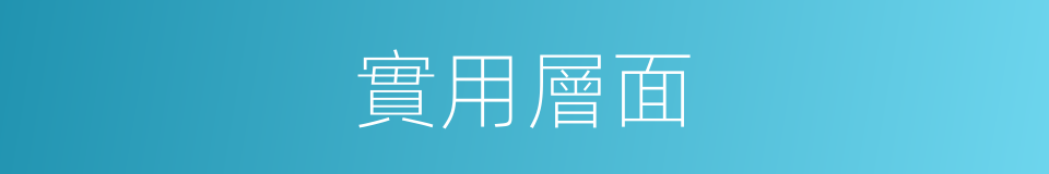 實用層面的同義詞
