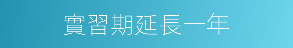 實習期延長一年的同義詞