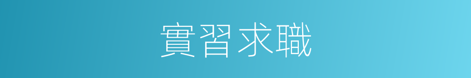 實習求職的同義詞