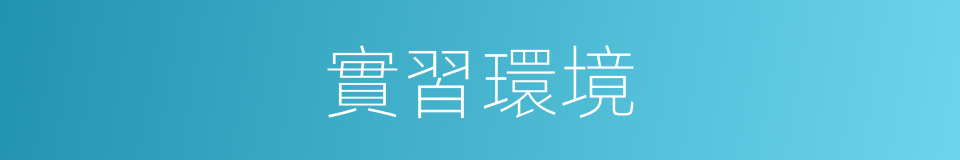 實習環境的同義詞