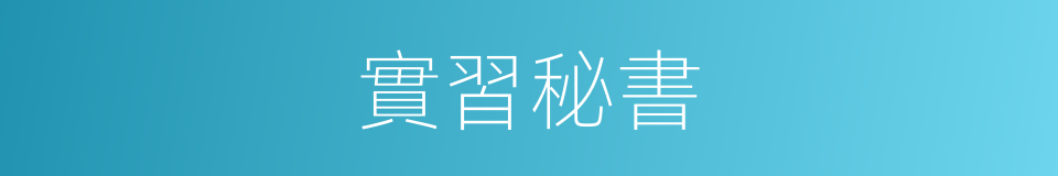 實習秘書的同義詞