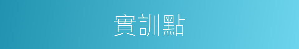 實訓點的同義詞