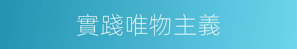 實踐唯物主義的同義詞