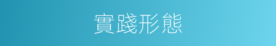 實踐形態的同義詞
