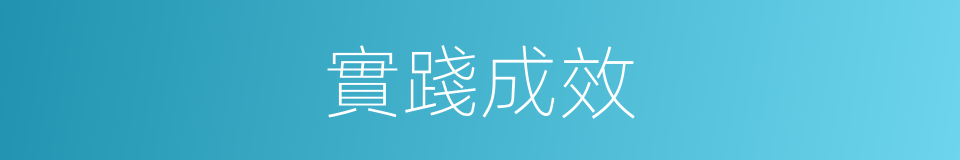 實踐成效的同義詞