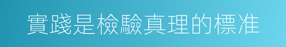 實踐是檢驗真理的標准的同義詞