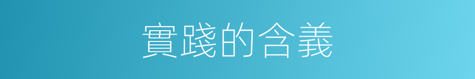 實踐的含義的同義詞