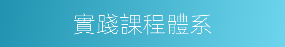 實踐課程體系的同義詞