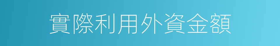 實際利用外資金額的同義詞