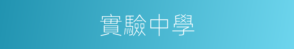 實驗中學的同義詞