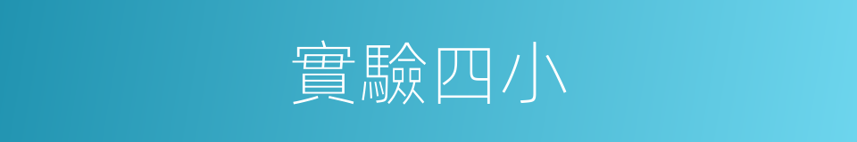 實驗四小的同義詞