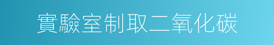 實驗室制取二氧化碳的同義詞