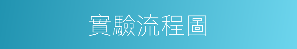 實驗流程圖的同義詞