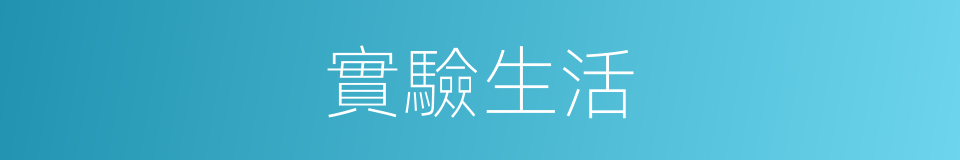 實驗生活的同義詞