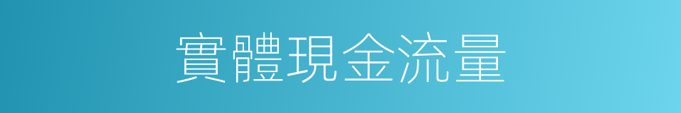 實體現金流量的同義詞