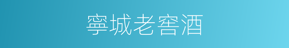 寧城老窖酒的同義詞