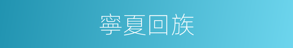 寧夏回族的意思